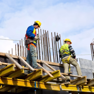 trabajadores examinando obra 1122 970
